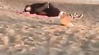 Scopano in spiaggia ad Ostia