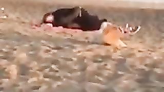 Scopano in spiaggia ad Ostia