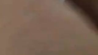 La zozza napoletana con due amici maiali