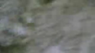 Ah ma stai registrando ? CHE MERDA CHE SEI !!!