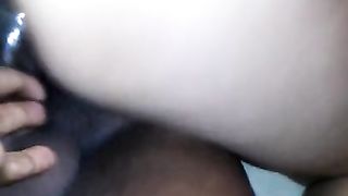 Due verghe nere x la signora