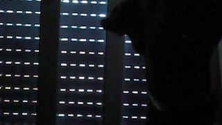 Spompino l'amico del cornuto