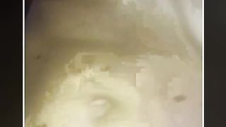 Sesso un venerdì pomeriggio