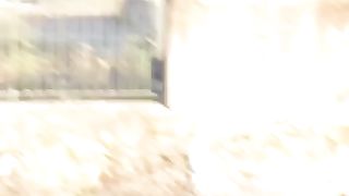 Scopano davanti a tutti durante una manifestazione