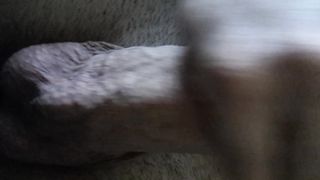 QUALCUNA CHE VUOLE CONTINUARE?