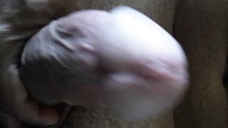 QUALCUNA CHE VUOLE CONTINUARE?