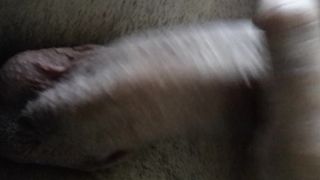 QUALCUNA CHE VUOLE CONTINUARE?