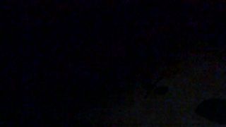 Porcellina in incognito