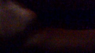 Porcellina in incognito