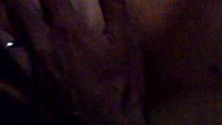 Porcellina in incognito