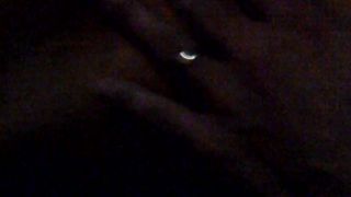 Porcellina in incognito