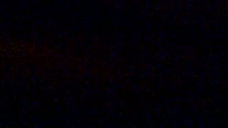 Porcellina in incognito