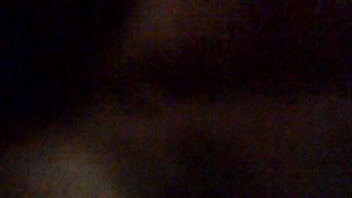 Porcellina in incognito