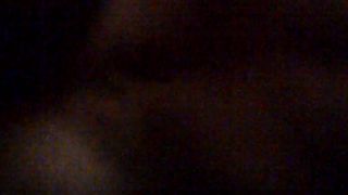 Porcellina in incognito