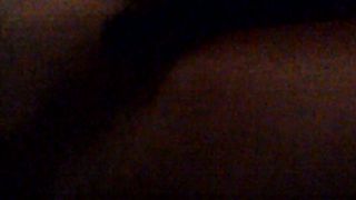 Porcellina in incognito