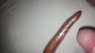 La zucchina, la carota e la banana 2