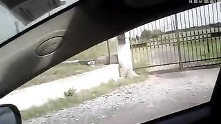 Contrattazioni con prostitute a Roma