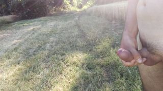 Sborrata in campagna