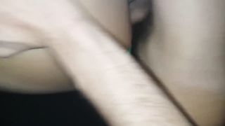 Troia dell'università Federico II di Napoli