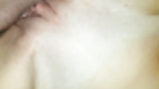 Mettimi un po' A PECORA