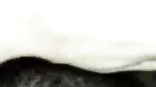 Ecco la porca che spompina