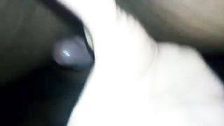 La moglie del cornuto a pecorina