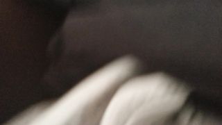 La porcellona a pecorina