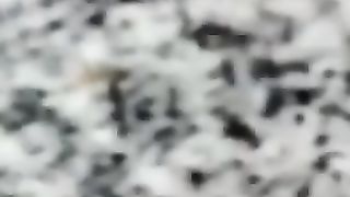 Scopata veloce in bagno