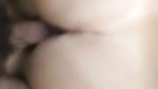 Mia moglie nuovamente a pecora