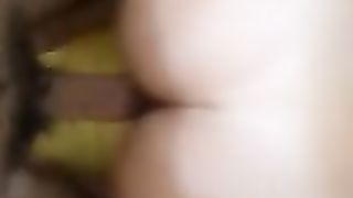 Mia moglie nuovamente a pecora