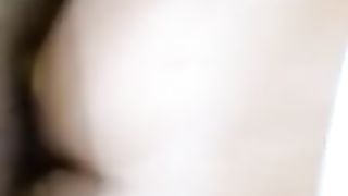 Mia moglie nuovamente a pecora