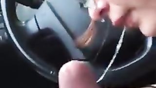 Porcellina super pompa