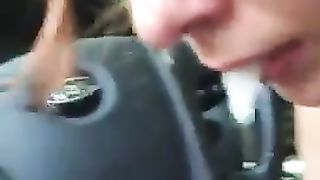 Porcellina super pompa