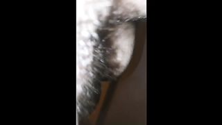 Una moglie in calore