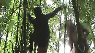 legata e frustata per bene