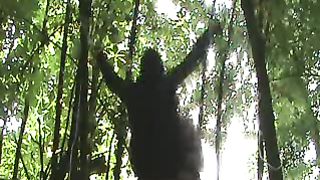 legata e frustata per bene