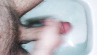 Mi faccio una sega nel water