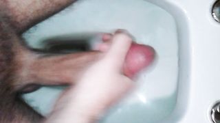 Mi faccio una sega nel water