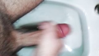 Mi faccio una sega nel water