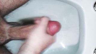 Mi faccio una sega nel water