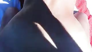 La scopa a pecora in spiaggia