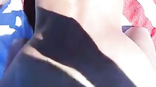 La scopa a pecora in spiaggia