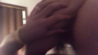 Vicina di casa neighbor 2