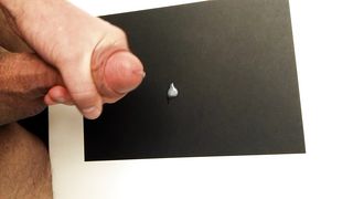 Terza sega giornaliera