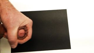 Terza sega giornaliera