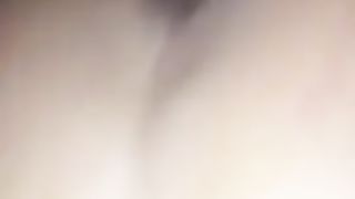 Vi presento una gran troia