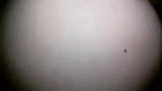 Mia moglie mi cavalca