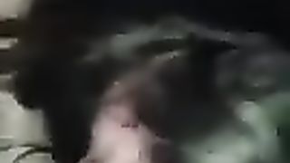 Troia al parcheggio di Caserta