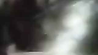 Troia al parcheggio di Caserta