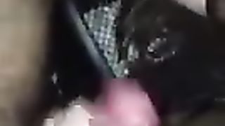 Troia al parcheggio di Caserta